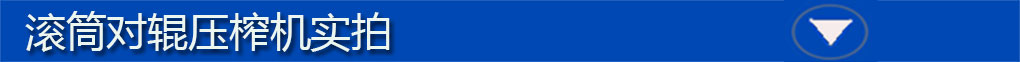 對輥機實拍